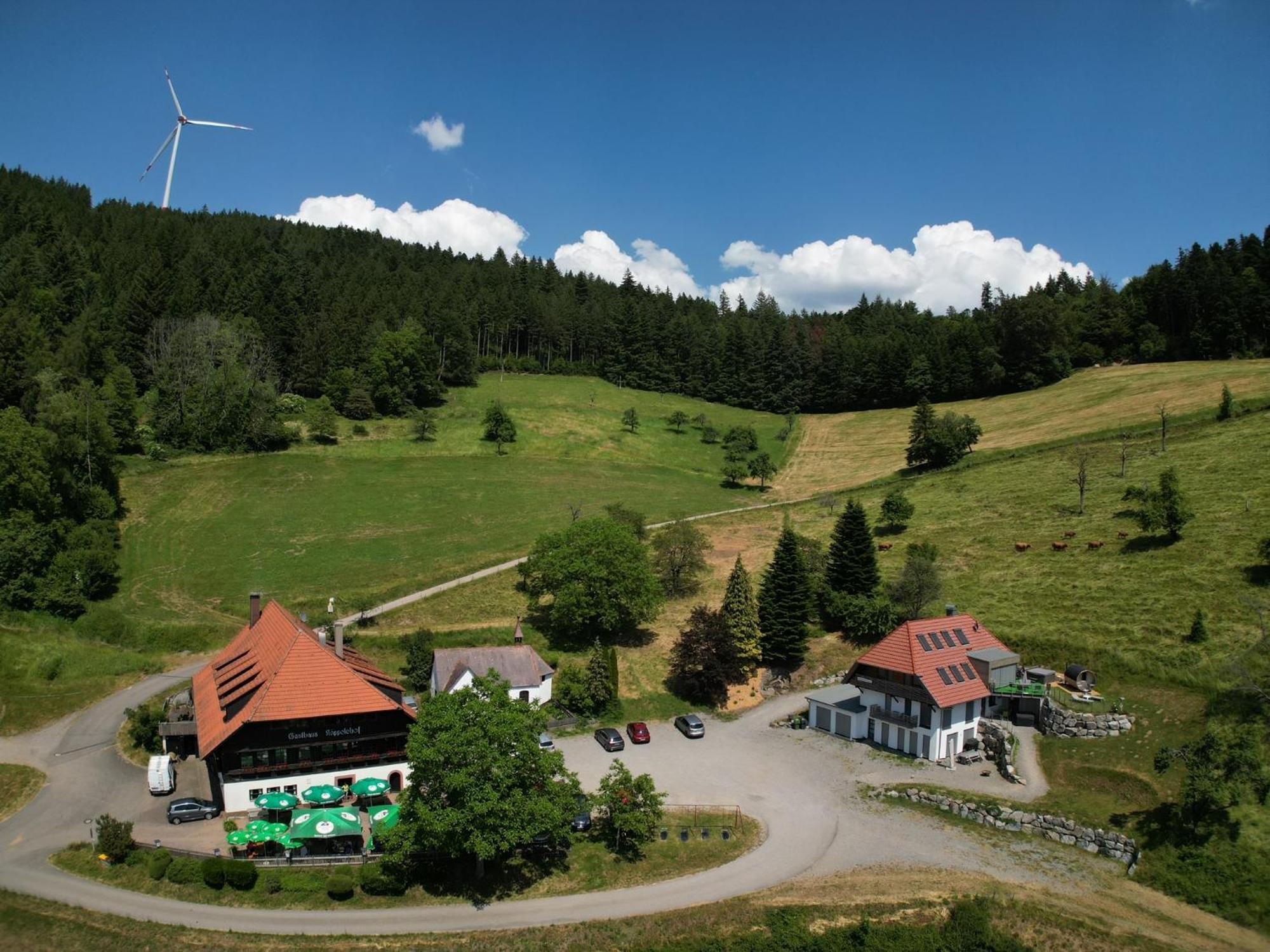 Ferienhaus Wendelinus Mit Pool & Sauna Hausach Exterior foto